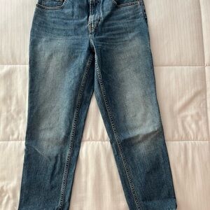 Everlane The Curvy Cheeky Jeans